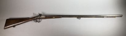 France

Hunting rifle with pistons 