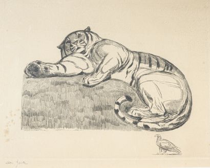 null D'après Paul JOUVE (1878 - 1973) 

« Tigre au repos », 1922. Pointe sèche sur...