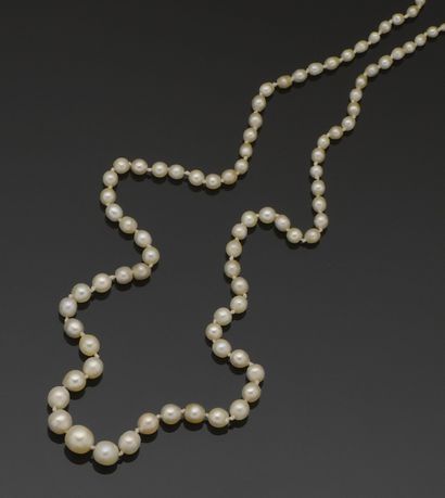 Necklace composed of 77 fine pearls of sea...