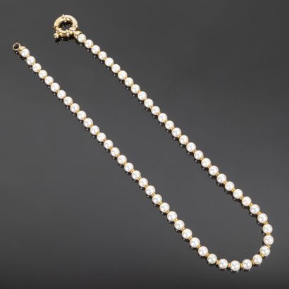Necklace of cultured pearls in choker (diameters...