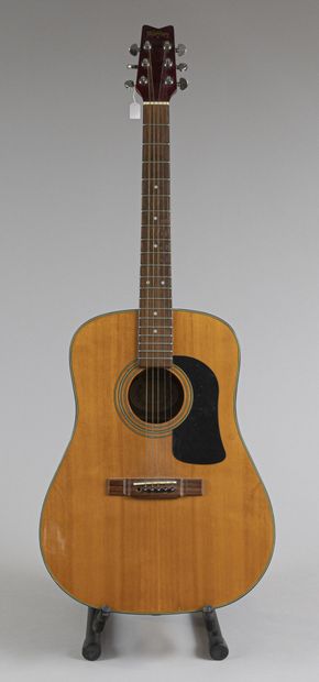 Guitare folk Georges Washburn modèle D10
A...