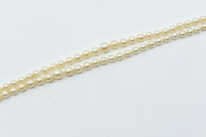 null Necklace with double row of pearls, the clasp in yellow gold
L. 46 cm