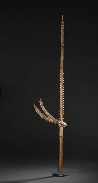 null *Kiribati sword, Micronesia
Wood, teeth, vegetable fiber
L. 105 cm 
Accidents

Provenance...