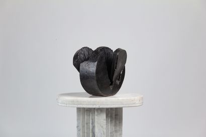 Machat VANNIER (née en 1953)
Sculpture SPIRALE
Fonte...