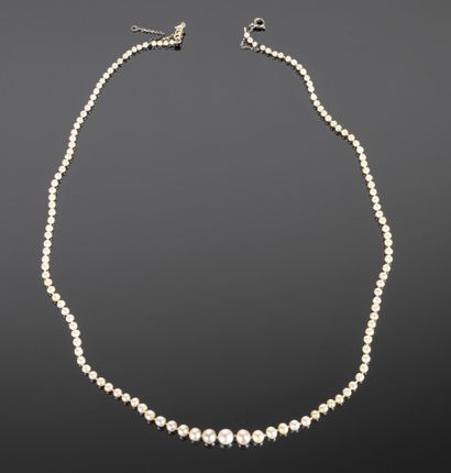 null Necklace of probably fine pearls in fall (diameters: 1.9 to 5.5 mm approximately);...