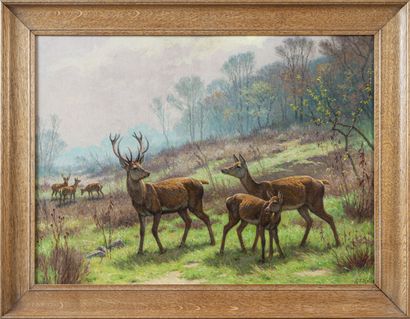 null Georges Frédéric ROTIG (1873-1961)
Cerf et biches 
Huile sur toile, signée en...