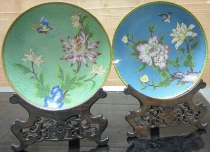 CHINE Deux assiettes émaillées à décor polychrome de fleurs sur fond vert et bleu...