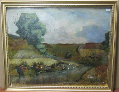 Emile DIDIER (1890-1965) Paysage Huile sur carton signée en bas à droite H. 34 cm...