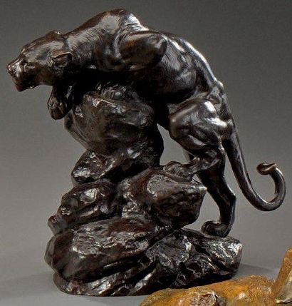Clovis MASSON (1838-1913) Panthère à l'affût Bronze à patine brune, signé sur la...