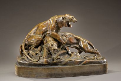 EDOUARD DROUOT (1859-1945) Les deux tigres Bronze à patine verte et marron (usures)...