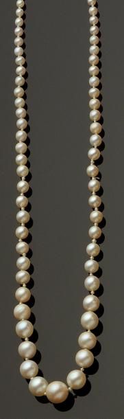 null Collier composé de quatre-vingt-treize perles dont soixante-dixneuf perles fines...