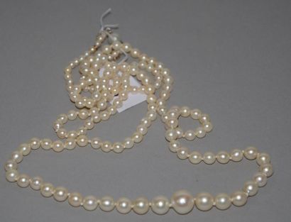 null Long collier en chute de perles de cultures crème, avec chaînette de sécurité...