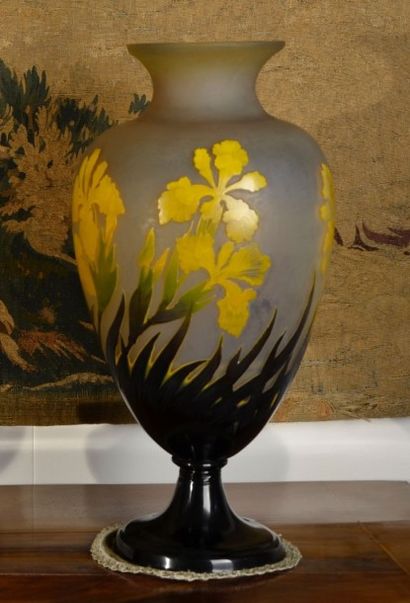 null Lot composé d'un grand vase sur piédouche aux iris jaunes dans le goût de Gallé,...