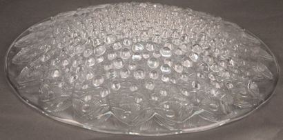 LALIQUE FRANCE Grande coupe aux poissons en verre moulé et pressé modèle «Roscoff»...