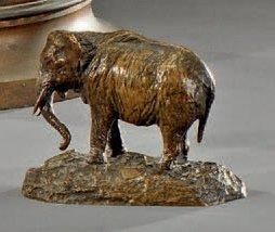 Fr de BRAUX (XIXe siècle) Fondeur Éléphant Bronze patiné, monogrammé VAD et marque...