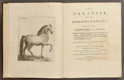 GIBSON (William) A New Treatise on the Diseases of Horses: wherein what is necessary...