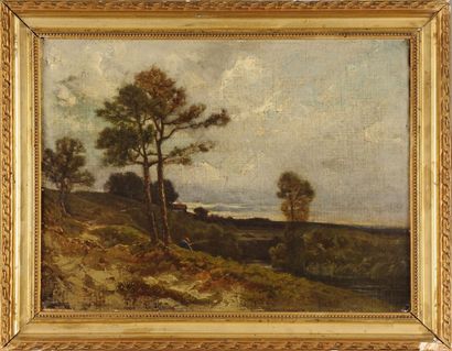 Attribué à Adolphe Félix CALS (1810-1880) 
Forêt de Fontainebleau
Huile sur toile...