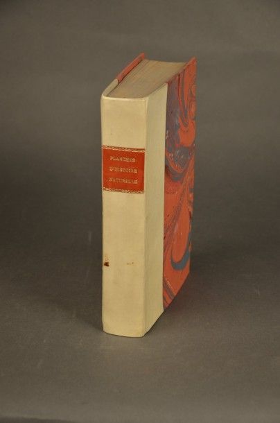 HISTOIRE NATURELLE RECUEIL DE PLANCHES. s.l., s.n., s.d. (XIXe siècle). Un volume,...