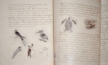 null BIOLOGIE. Manuscrit illustré, 214 pp. in-4, fin XIXe-début XXe.
Joli manuscrit...