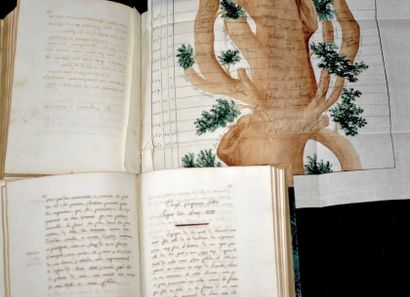 null HISTOIRE DE FRANCE. 2 volumes manuscrits, 381 et 222 pages. Reliures en ½ vélin...