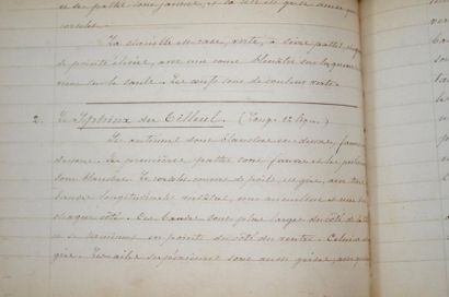 null PAPILLONS. Manuscrit daté de 1845. 368 pp. in-8 oblong. Reliure de l'époque...