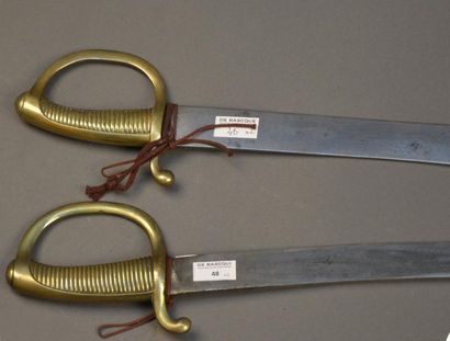 France Lot de deux sabres briquets an IX Sans fourreaux