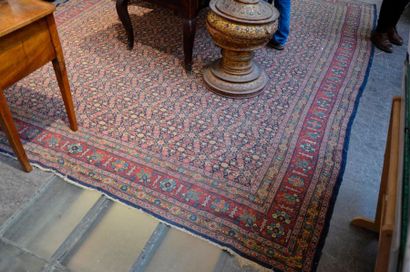 null SENNEH

Grand tapis à décor hérati sur fond bleu, large bordure rouge entre...