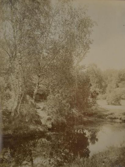 Jean-Charles BODMER (1809-1893) Promenade sylvestre ou au bord des étangs et des...