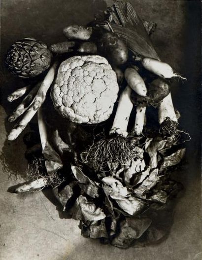 GERMAINE KRULL (1897-1985) Légumes, vers 1930
Somptueux tirage argentique aux noirs...
