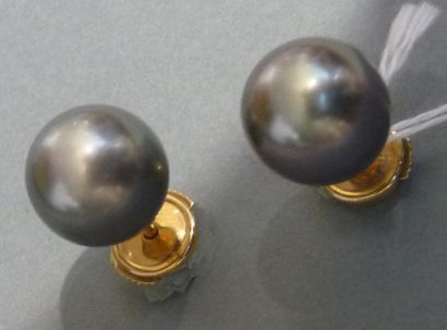 null Paire de clous d'oreilles en or jaune 18K (750/°°) ornés de deux perles de Tahiti...