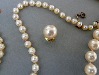 null Lot comprenant un collier de perles de culture en choker et une paire de clous...