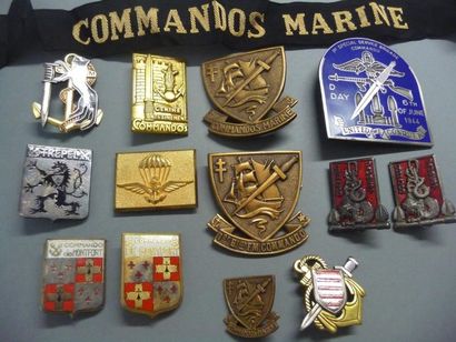 null Lot de treize insignes Commando Marine

Différentes époques

Nous joignons une...