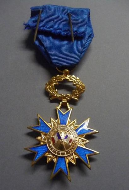 null FRANCE

Ordre National du Mérite 

En bronze doré, ruban à rosette. Taille ordonnance...