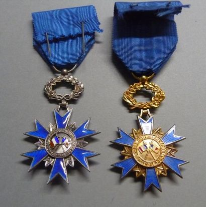 null Lot de médailles 

Deux Ordres nationaux du Mérite en métal, et médaillés diverses...