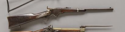 null ETATS-UNIS

Carabine SPENCER modèle 1865 ? Calibre 50

Bloc culasse avec reste...