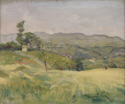 Adrien BAS (1884-1925) Paysage des Monts du Lyonnais
Huile sur papier, signée en...