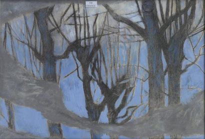 Pierre PELLOUX (1903-1975) Reflets d'arbres
Pastel et fusain, portant le cachet de...