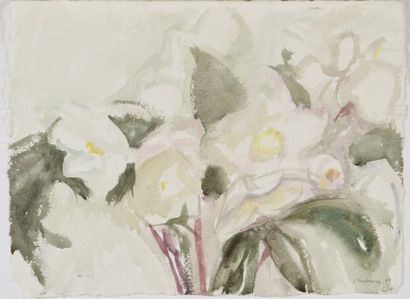 Jacques TRUPHEMUS (Né en 1922) * Fleurs de Noël, 1989
Aquarelle, signée et datée...