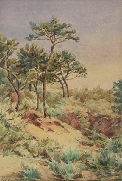 Henri-Joseph HARPIGNIES (1819-1916) 
Paysage aux pins
Aquarelle signée et datée 1903...
