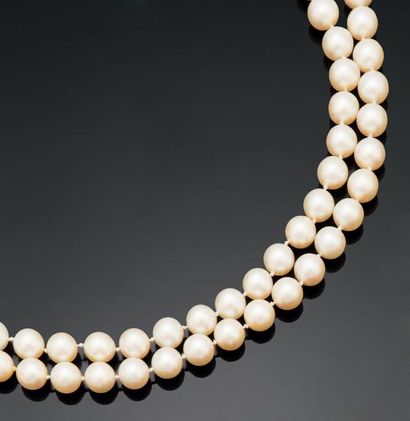 null Sautoir de cent-six perles de culture choker, le fermoir en or gris 750 millièmes...