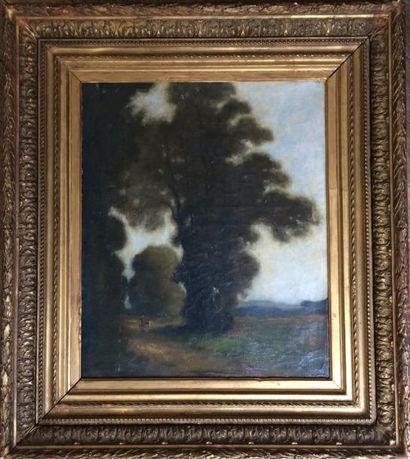 Alphonse LEGER (XIXe siècle) 

Paysage boisé

Huile sur toile

H. 55 cm - L. 46 ...