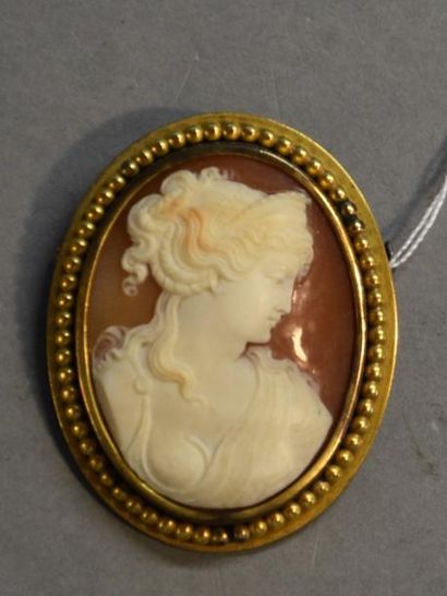Bijoux - Joaillerie Broche pendentif ornée d'un camée coquille représentant un profil...