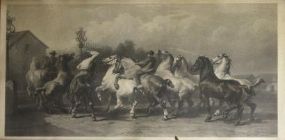 ESTAMPES D'après Rosa BONHEUR (1822 - 1899) Marché aux chevaux Gravure sur cuivre...