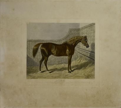 ESTAMPES D'après HERRING (école anglaise du XIXe siècle) Paire de chevaux de course...