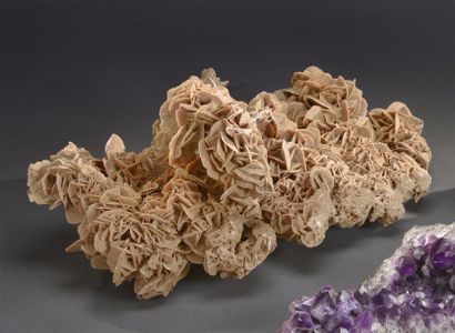 Minéraux - Fossiles - Coquillages ROSE DES SABLES, Algérie	 L. 60 cm l. 40 cm env....