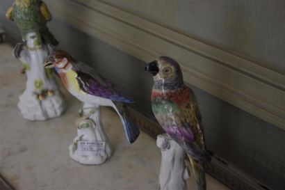 Céramique - Faïence - Porcelaine Trois statuettes d'oiseaux polychromes en porcelaine...