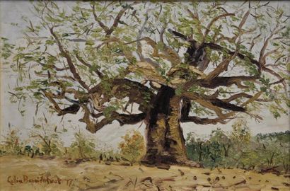 Art moderne et contemporain Lettie BEZUIDENHOUT (née en 1977) Baobab Huile sur isorel...