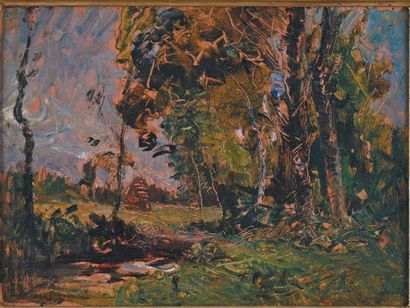 François Auguste RAVIER (1814-1895) Bosquet d'arbres près d'une mare
Huile sur papier...