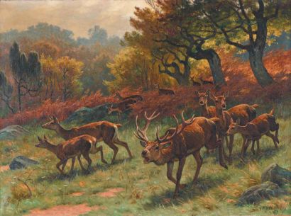 Georges Frédéric ROTIG (1873-1961) Harde de cerf bramant et biches dans un sous bois
Huile...