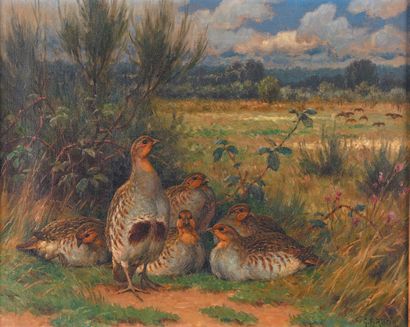 Georges Frédéric ROTIG (1873-1961) Perdrix dans un paysage
Huile sur toile, signée...